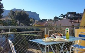 Le Mimosa